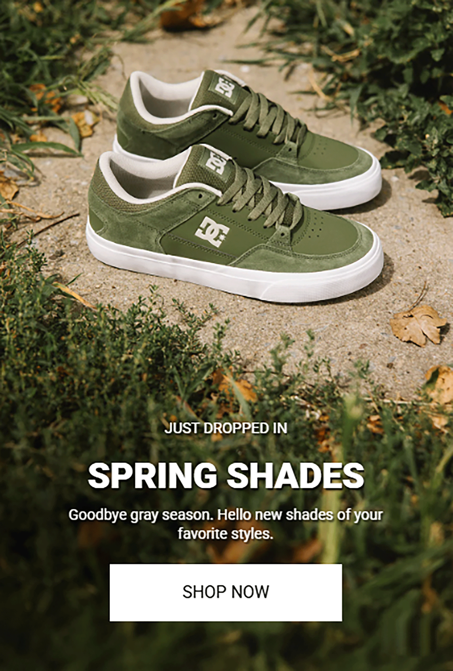 Spring shades